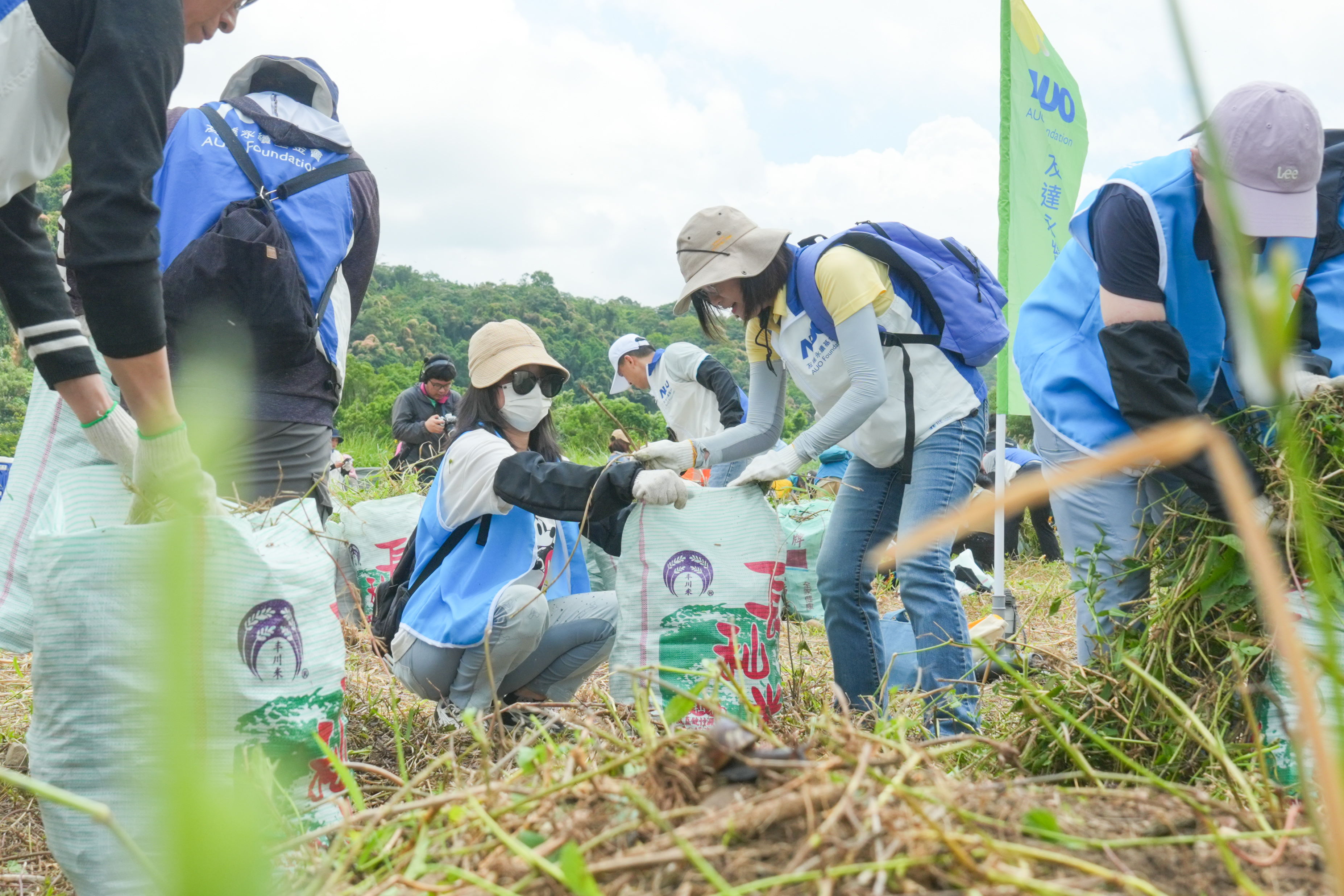 918博天娛樂除蔓防治計畫，除了鎖定霄裡溪沿岸3.2公里移除外來入侵種小花蔓澤蘭，並進行物種與空拍調(diào)查，共記錄91科181屬239種維管束植物，顯示該區(qū)域具高度生態(tài)價值